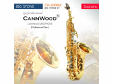 CannWood Saxophone_ _ Professional Class _ CSS_8300GC_